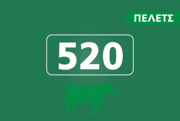 Συμπληρωματική Ζωοτροφή Γαλακτοπαραγωγής Αγελάδων (Ν 520)